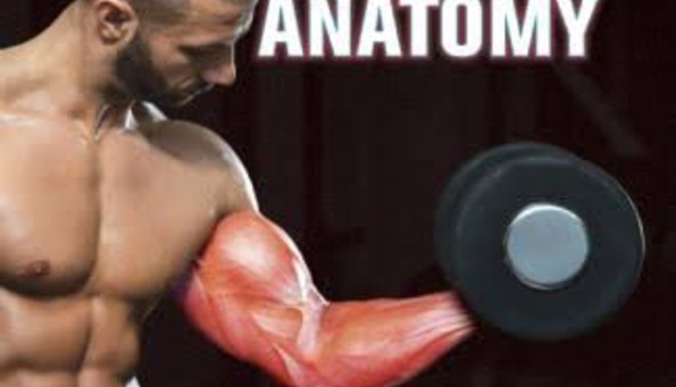 freeweight-training-anatomy