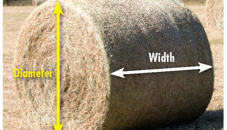 How Much Does A Big Bale Of Hay Cost at Lester Brockett blog