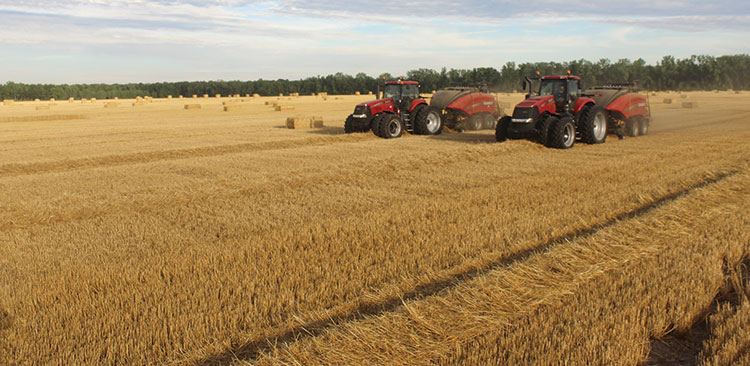 [Image: 180405_7-wheat-harvest.2620.jpg]