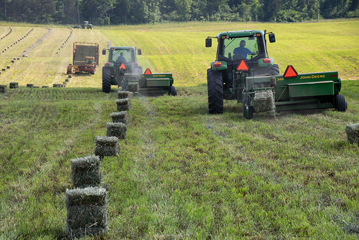 How to Make Mini Hay Bales