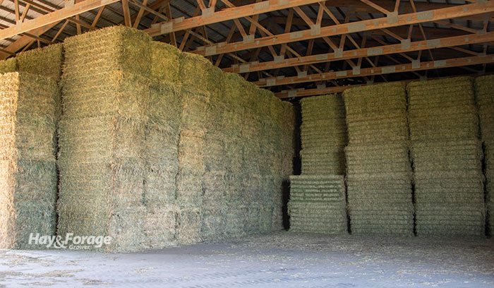 Inside Barn Hay