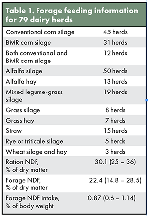 Many approaches to high-forage diets | Hay and Forage Magazine