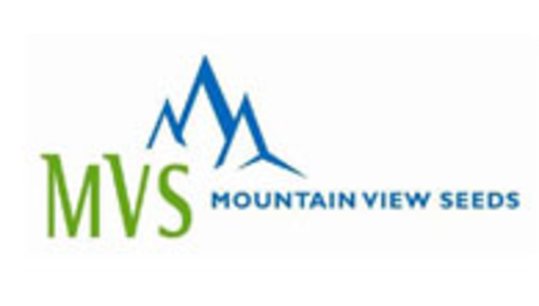 MVS-logo