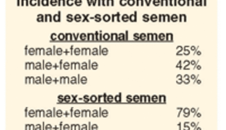 twin calf pairings with sex-sorted semen