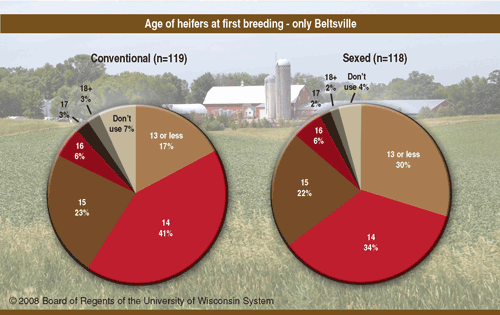 Breeding age for heifers using sexed semen