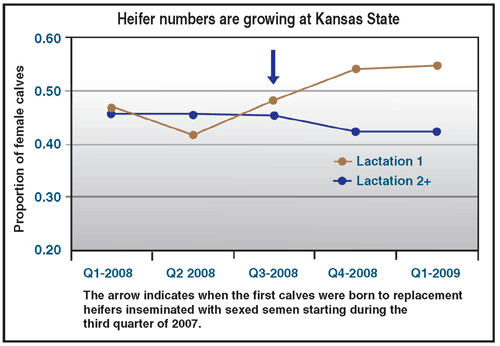 inventory at Kansas State when using sexed-semen