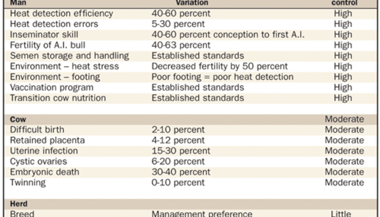 dairy cattle fertility factors