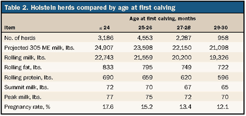 Heifers Are Still Too Old When They Calve