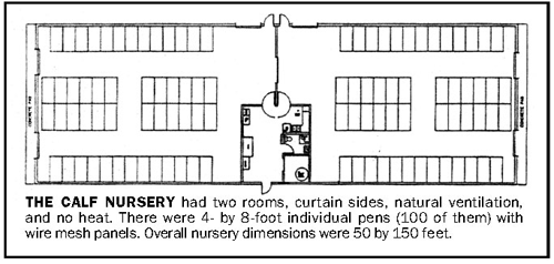 Calf nursery layout