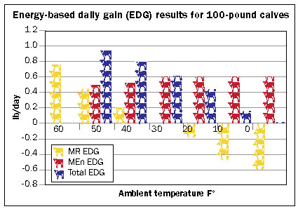 Energy based daily gain for 100 pound calves