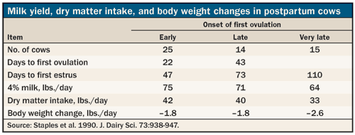 milk yield in relation to body weight