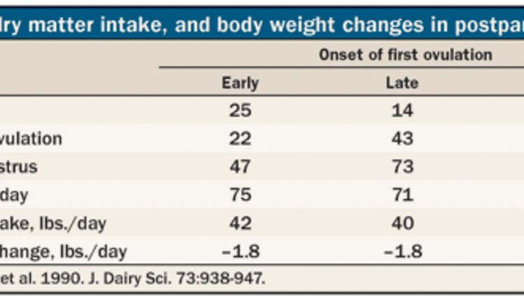 Good health leads to ovulation