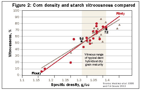 corn density and starch vitreousness compared