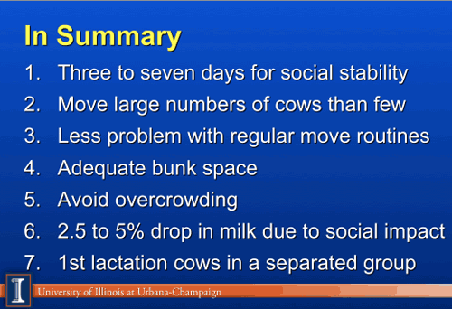 cow grouping factors