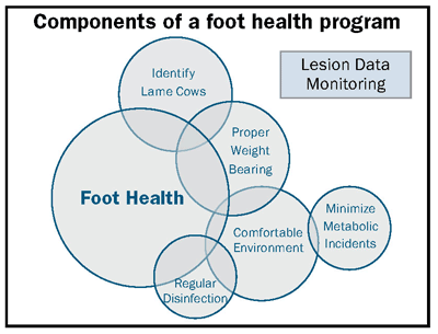 components of a foot health program