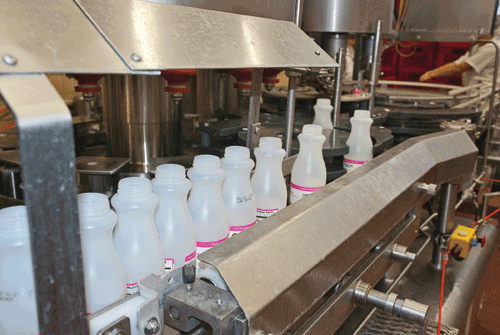 milk containers at processing plant