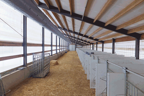 air tubes in a calf barn