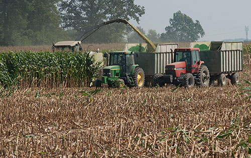 chopping corn silage in field