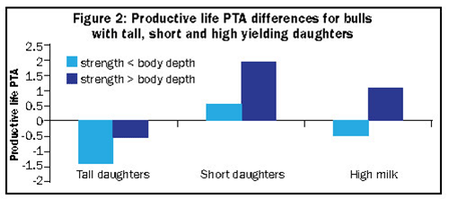 Productive life PTA differences for bulls with tall, short and high yielding daughters