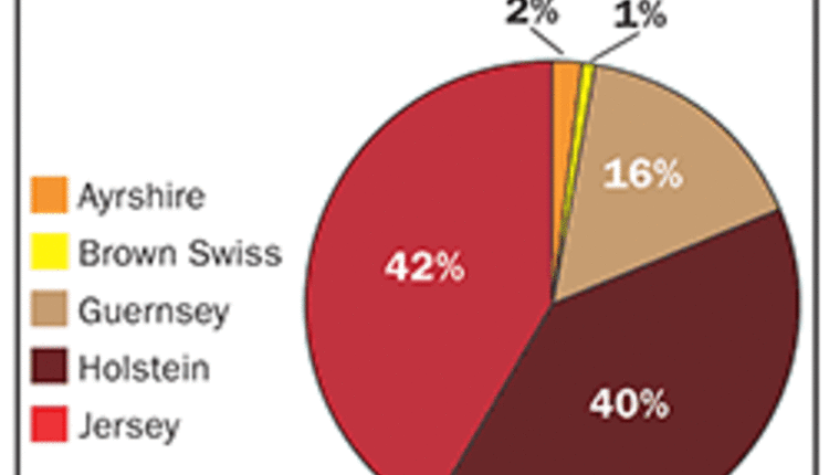 1935 census of dairy breed numbers