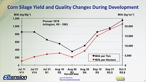corn silage yield and quality changes during development
