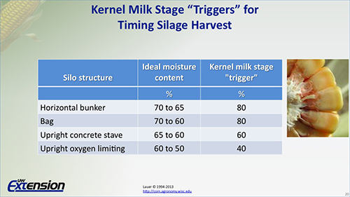 Kernel milk stage triggers for timing silage harvest