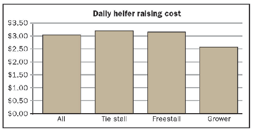 Daily heifer raising cost