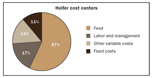 cost to raise a dairy heifer chart