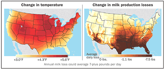 Change in temperature and change in milk production comparison charts