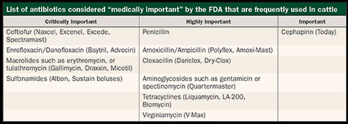 list of antibiotics considered 