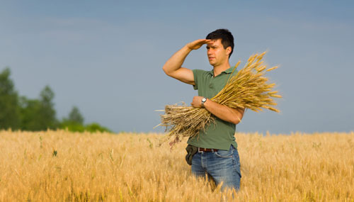young wheat farmer