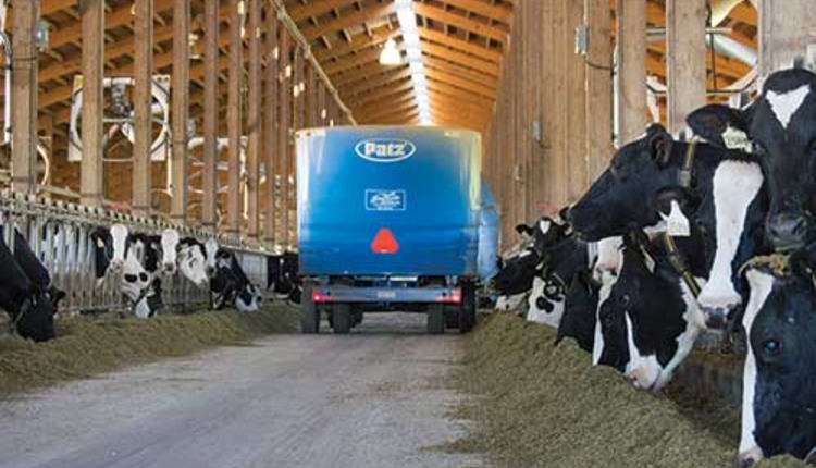140810_489-feeding-dairy-cows.jpg