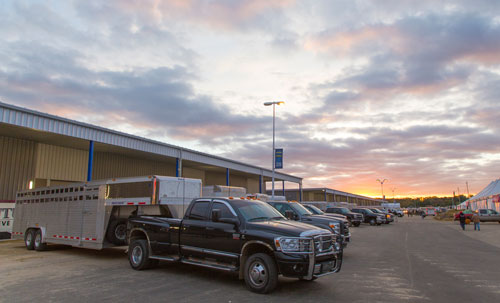 trucks at World Dairy expo at sunset