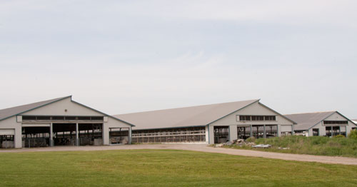 front of freestall barns
