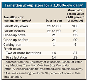 Transition group sizes for a 1,000-cow dairy