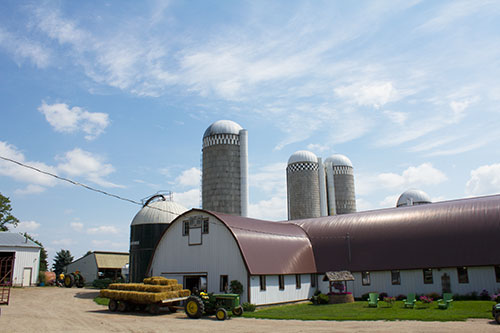Midwest dairy farm