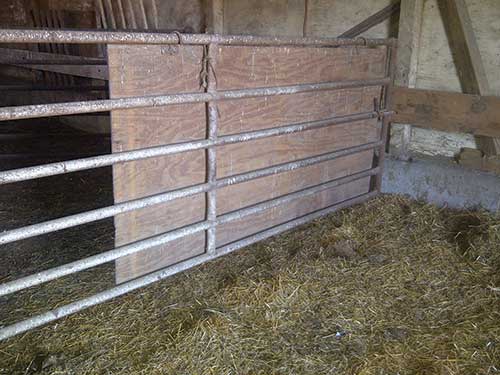 plywood panel to provide privacy during calving