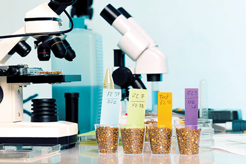 microscope and crop samples