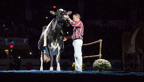 Supreme Champion at World Dairy Expo