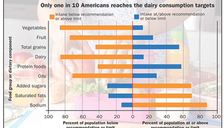 Lactose Foods Chart