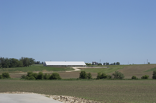 Dairy farm landscape
