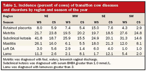 incidence of transition cow diseases