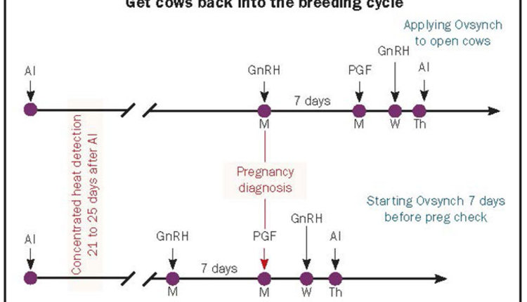 170310_172-breeding-cycle