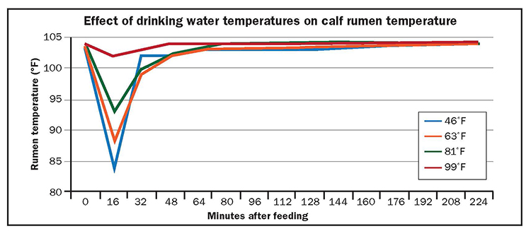 How Much Water Should I Drink Chart