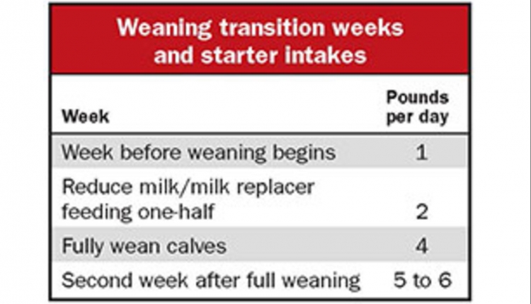 181010_586-weaning-chart