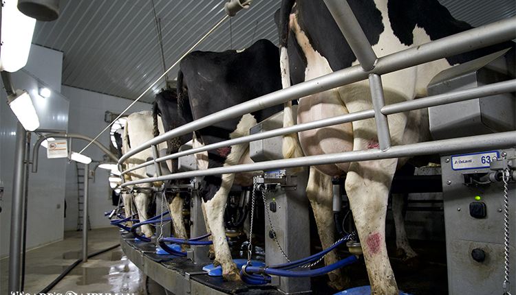 June is National Dairy Month - Here's what USDA is Doing to Support the  Dairy Industry