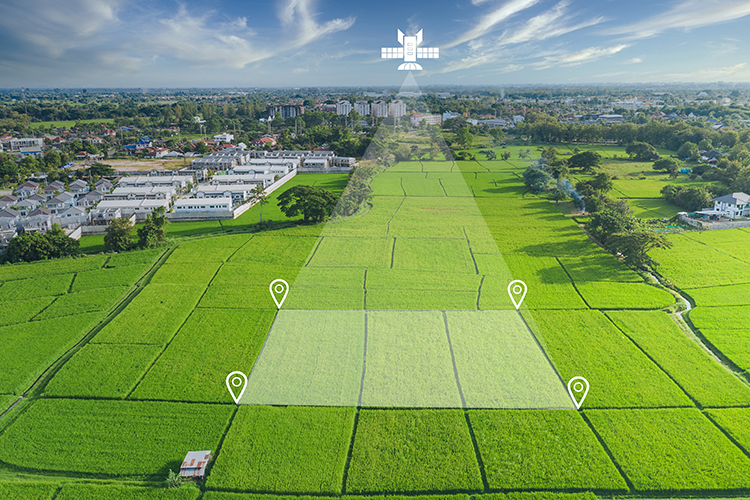 Using eyes in the sky to streamline grazing