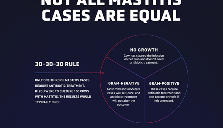 28643-BIMAST_MastitisGraphic_HoardsBlogNative_612x