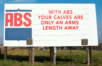 ABS Global Bullboard winner