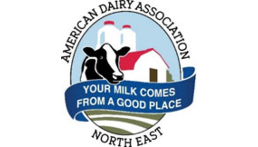 ADA-NorthEast-logo